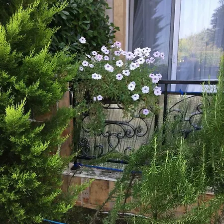 Vase With Pool