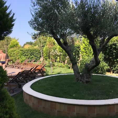 Vase With Pool *