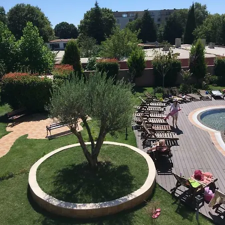 Apartment Vase With Pool *